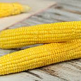 Кукуруза Золотой батам